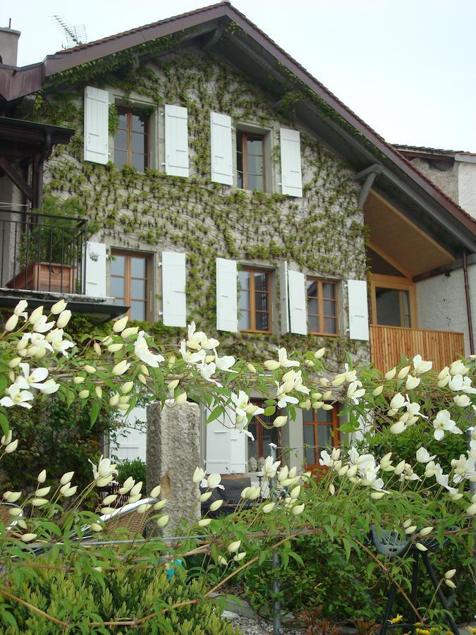 Wonderlandscape Guest House Le Grand Saconnex Exteriör bild